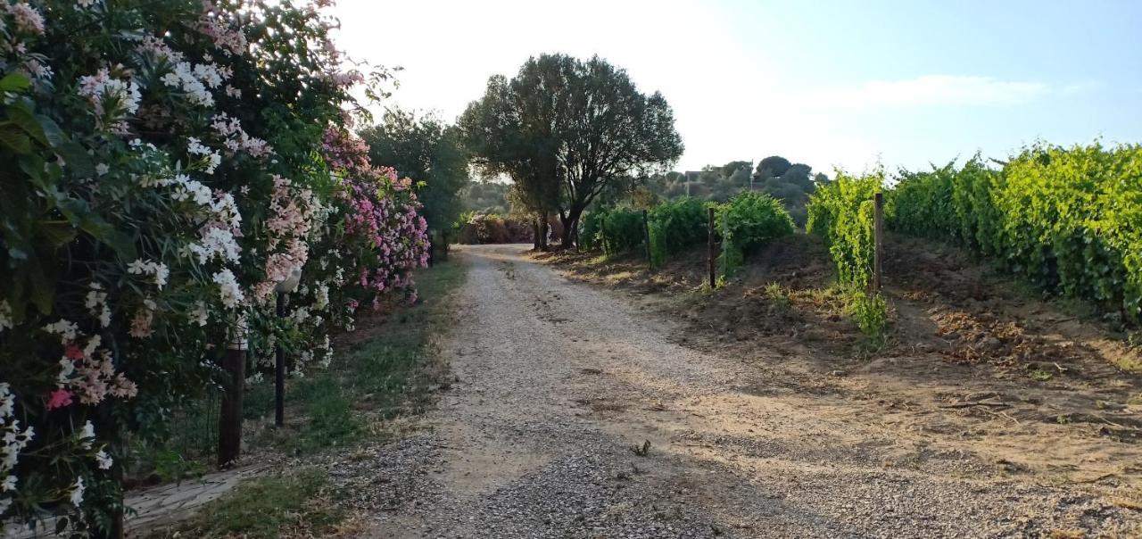 ドルガーリ Agriturismo Muristeneヴィラ エクステリア 写真
