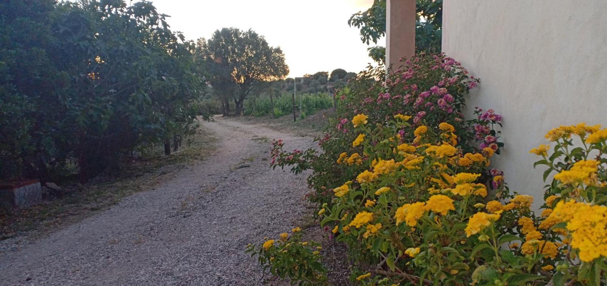 ドルガーリ Agriturismo Muristeneヴィラ エクステリア 写真